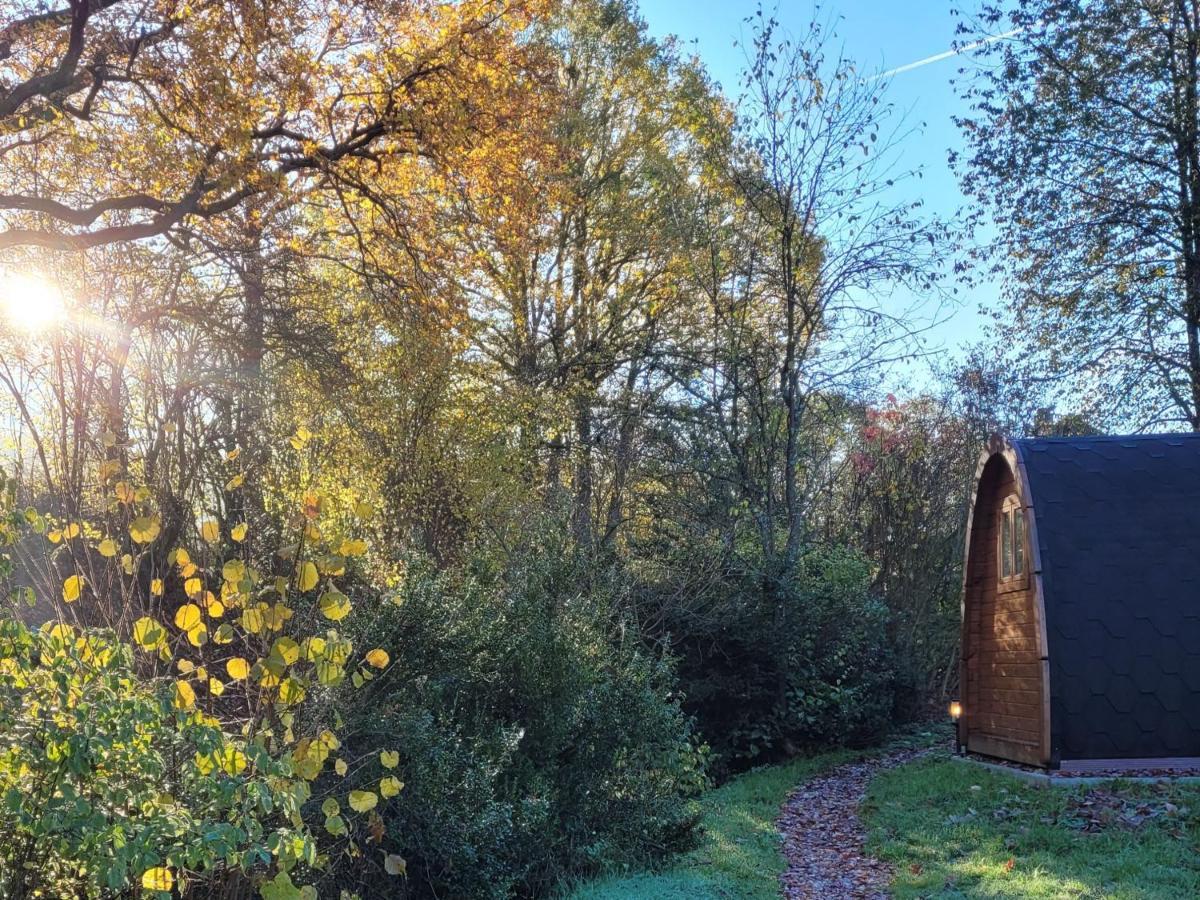 Апартаменты Pods Alte Schule Elchweiler Экстерьер фото