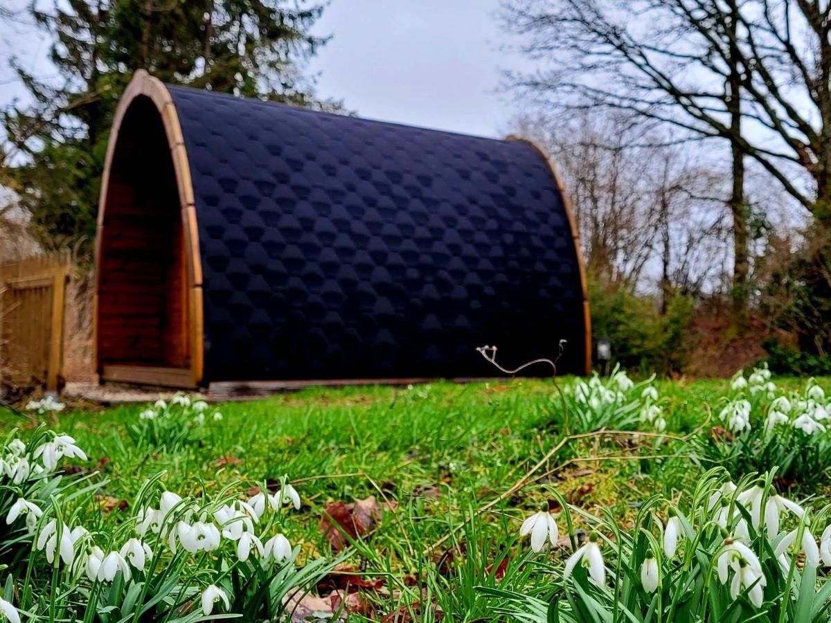 Апартаменты Pods Alte Schule Elchweiler Экстерьер фото